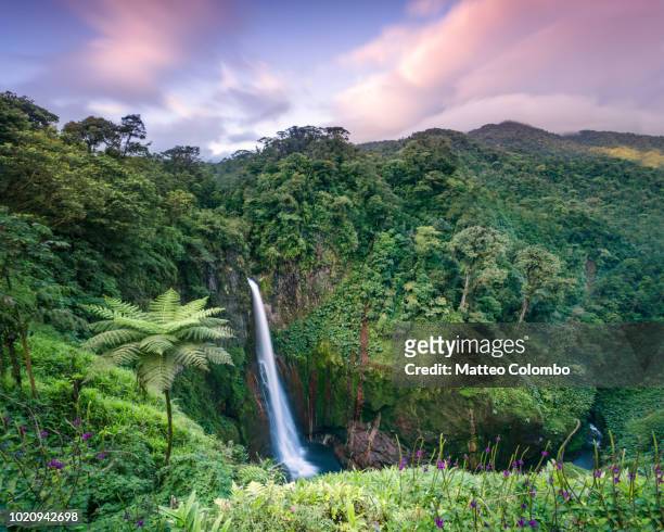 sunset over waterfall in the green forest of costa rica - costa rica stock-fotos und bilder