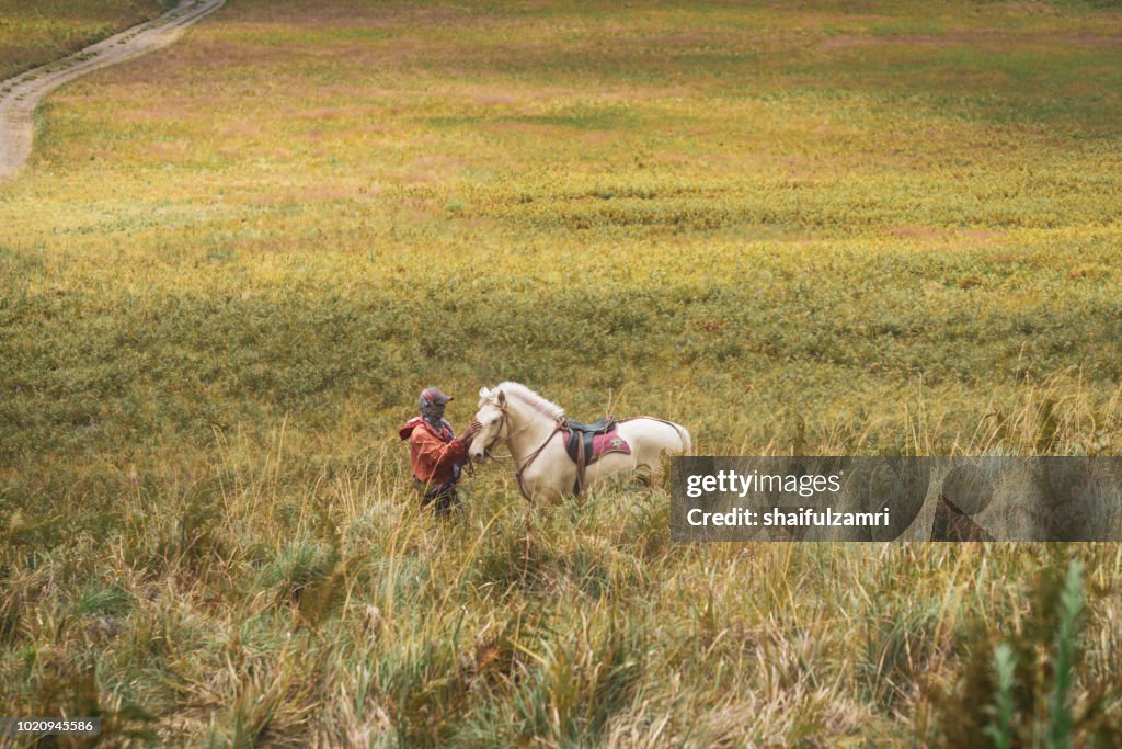 Unidentified local people or Bromo Horseman at the mountainside of Mount Bromo, Semeru, Tengger National Park, East Java of Indonesia.