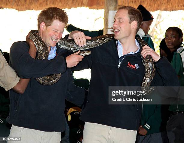 984 Prince Harry And Prince William Africa Stock Photos, High-Res ...