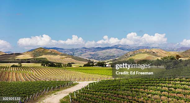 wine country east of santa barbara - santa barbara county stockfoto's en -beelden