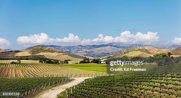 wine country east of santa barbara - santa barbara california stock pictures, royalty-free photos & images