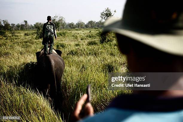 Sumatran elephant and forest rangers on patrols to find a group of wild elephants that are attacking fields and illegal loggers who are destroying...