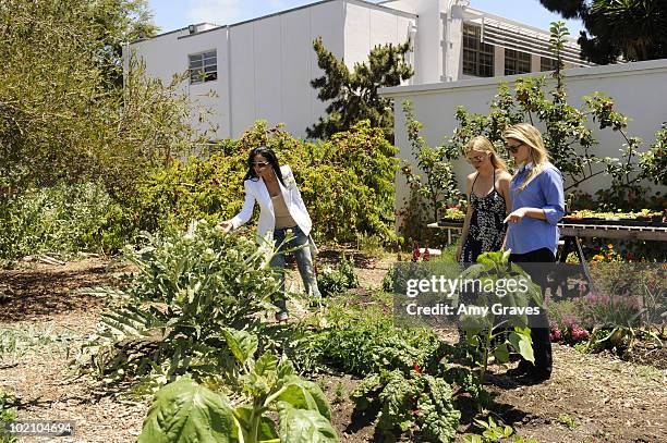 Actresses Emmanuelle Chriqui, Amy Smart and Ali Larter attend the Environmental Media Association and Yes to Carrots Garden Luncheon at The Learning...