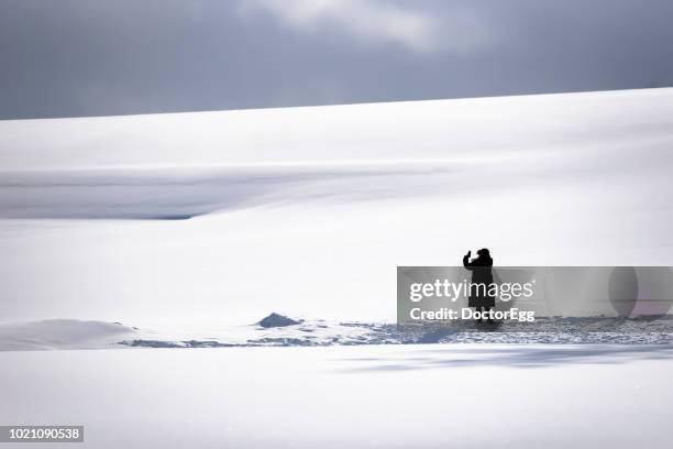 tourist taking photo on snowhill of biei patchwork road, biei town, hokkaido in winter - sapporo stock pictures, royalty-free photos & images