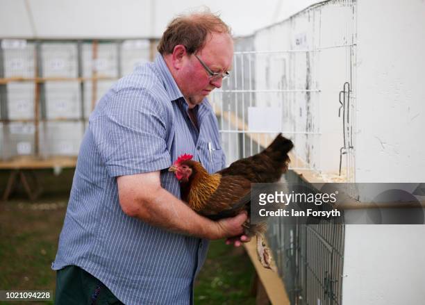 Paul Kerfoot from Preston in Lancashire shows his Wel Summer Chickens during Rosedale Show on August 18, 2018 in Kirkbymoorside, England. Founded in...
