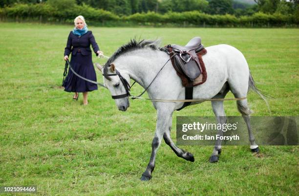 Woman exercises her horse during Rosedale Show on August 18, 2018 in Kirkbymoorside, England. Founded in 1871, this annual show is held in Milburn...