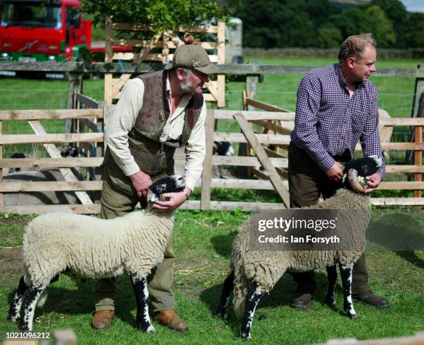 Sheep are judged during Rosedale Show on August 18, 2018 in Kirkbymoorside, England. Founded in 1871, this annual show is held in Milburn Arms Field...