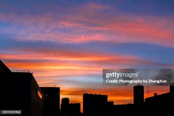 japan tokyo city skyline at sunset. - tokyo skyline sunset stock pictures, royalty-free photos & images