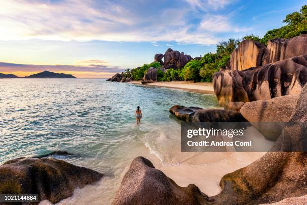 a tourist walks on anse source d'argent beach at sunset - tropisches muster stock-fotos und bilder