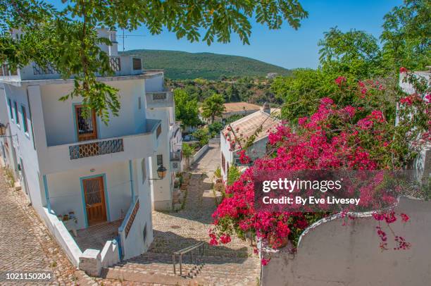 pretty street - faro-district-portugal stockfoto's en -beelden