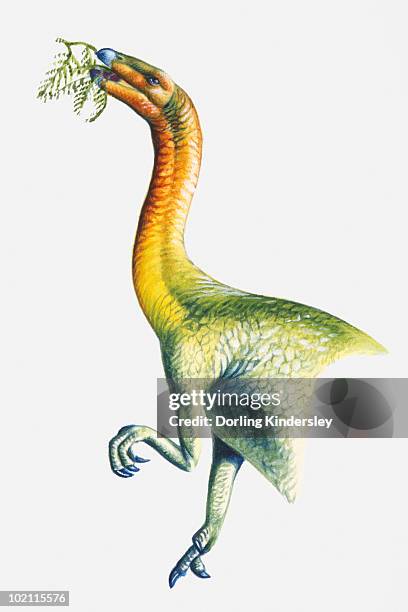 illustration of a segnosaurus eating leaves, cretaceous period - therizinosaurus stock illustrations