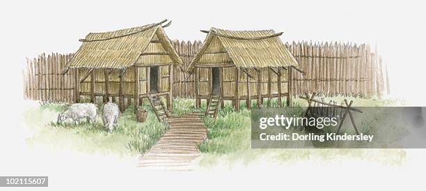 illustration of huts, and sheep grazing in european village inside enclosure, c.6000 bc - thatched roof stock-grafiken, -clipart, -cartoons und -symbole