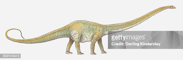 illustration of allosaurus - allosaurus stock illustrations