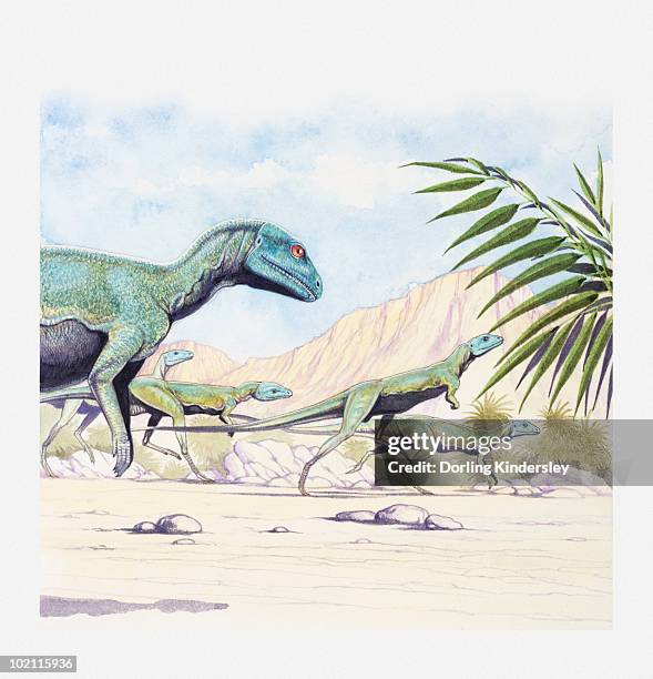 illustration of a herd of lesothosaurus on the move, early jurassic period - lesothosaurus stock illustrations