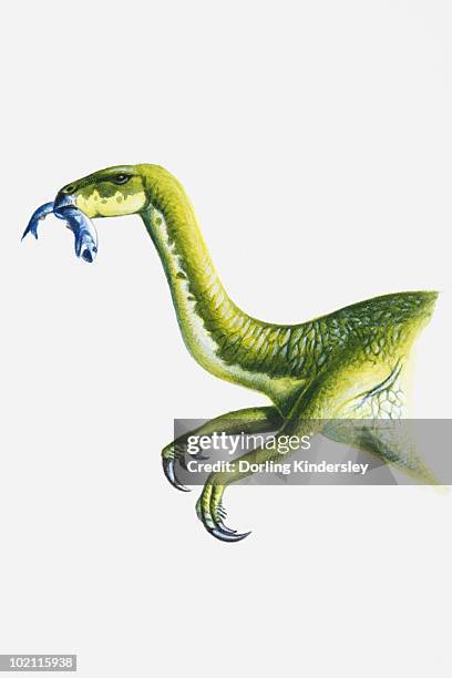 stockillustraties, clipart, cartoons en iconen met illustration of a segnosaurus with a fish in its mouth, cretaceous period - therizinosaurus