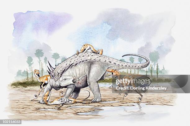 illustration of a sauropelta under attack by a pack of deinonychus theropod dinosaurs, cretaceous period - deinonychus stock-grafiken, -clipart, -cartoons und -symbole