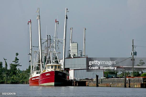 Shrimp boats are idle and docked in Venice, Louisiana, U.S., on Tuesday, June 15, 2010. The BP Plc oil spill, which began when the leased Transocean...