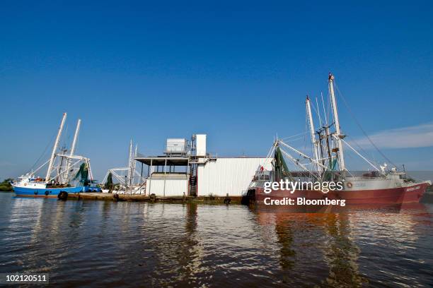 Shrimp boats are idle and docked in Venice, Louisiana, U.S., on Tuesday, June 15, 2010. The BP Plc oil spill, which began when the leased Transocean...