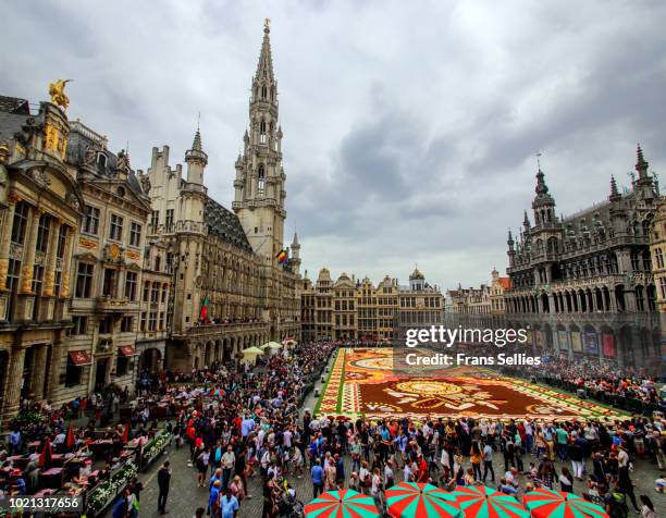 flower carpet, grand place, brussels, belgium - brussels square stockfoto's en -beelden