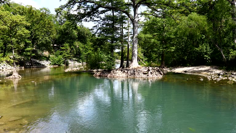 https://media.gettyimages.com/id/1021338014/video/guadalupe-river-in-texas.jpg?b=1&s=640x640&k=20&c=Ag-YGxLc0-vkUpdme791ywZP85hhTtQNJlBBO-yzs4g=