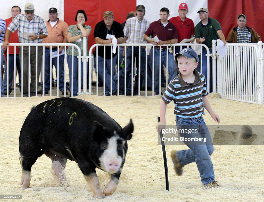 2010 World Pork Expo