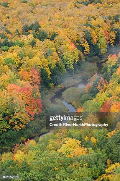 porcupine mountains - upper peninsula stock pictures, royalty-free photos & images