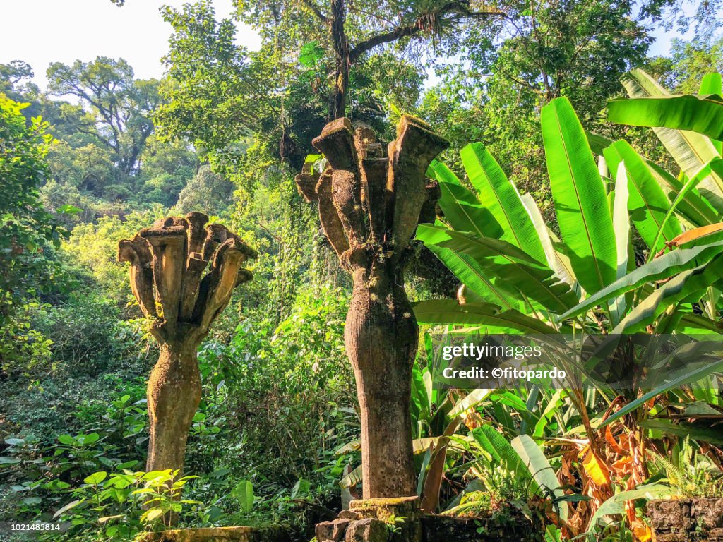 Las pozas at Xilitla
