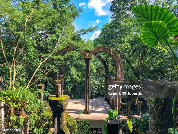 las pozas at xilitla - xilitla stock pictures, royalty-free photos & images