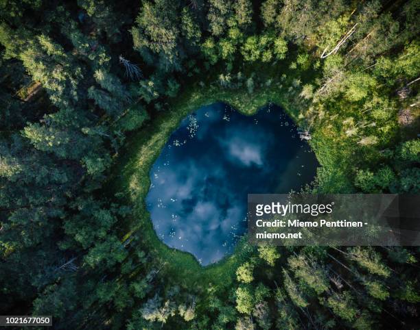 top-down aerial view of a small pond in the middle of a forest, reflecting clouds in the sky - punto de vista de dron fotografías e imágenes de stock