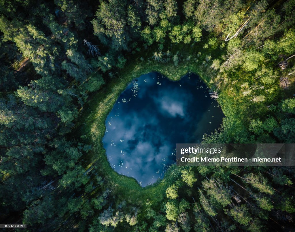 Top-down aerial view of a small pond in the middle of a forest, reflecting clouds in the sky