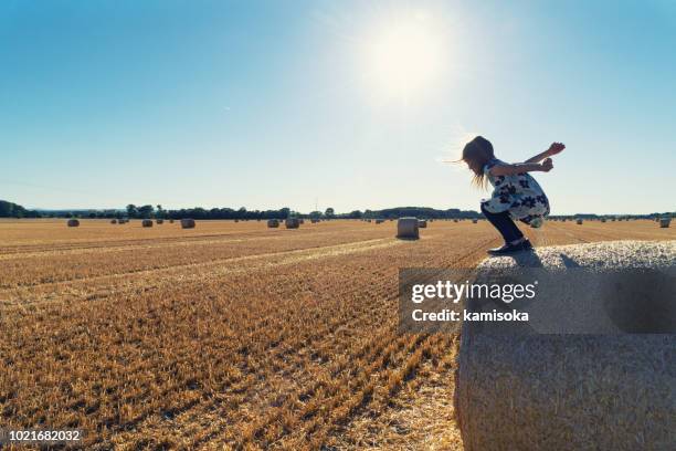 meisje wil springen van baal stro van stoppels veld - stubble stockfoto's en -beelden