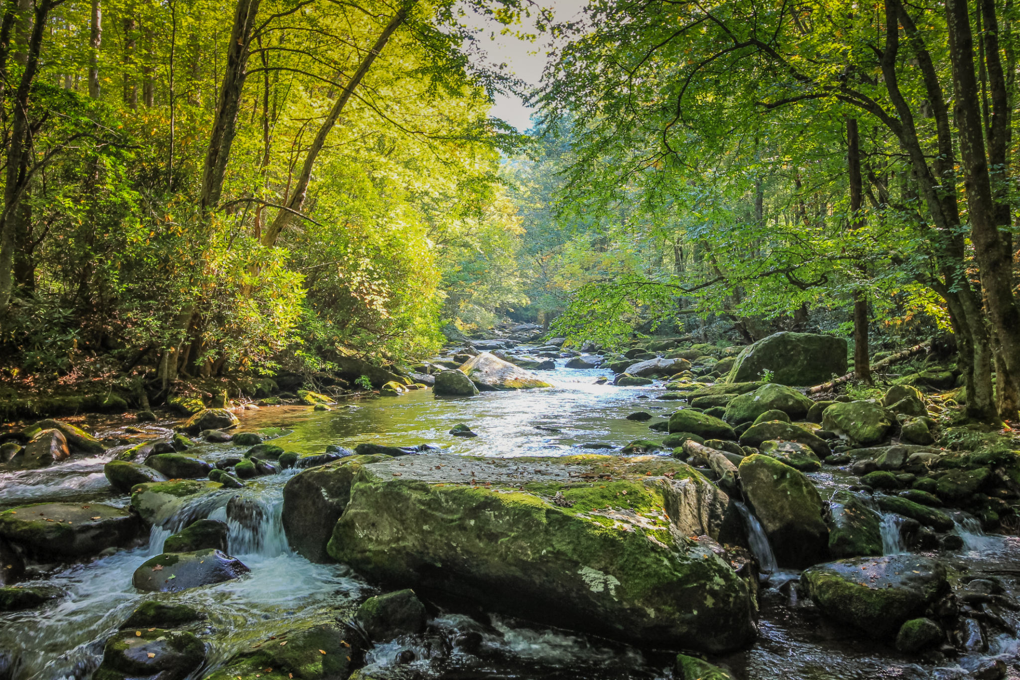 tennessee landscape