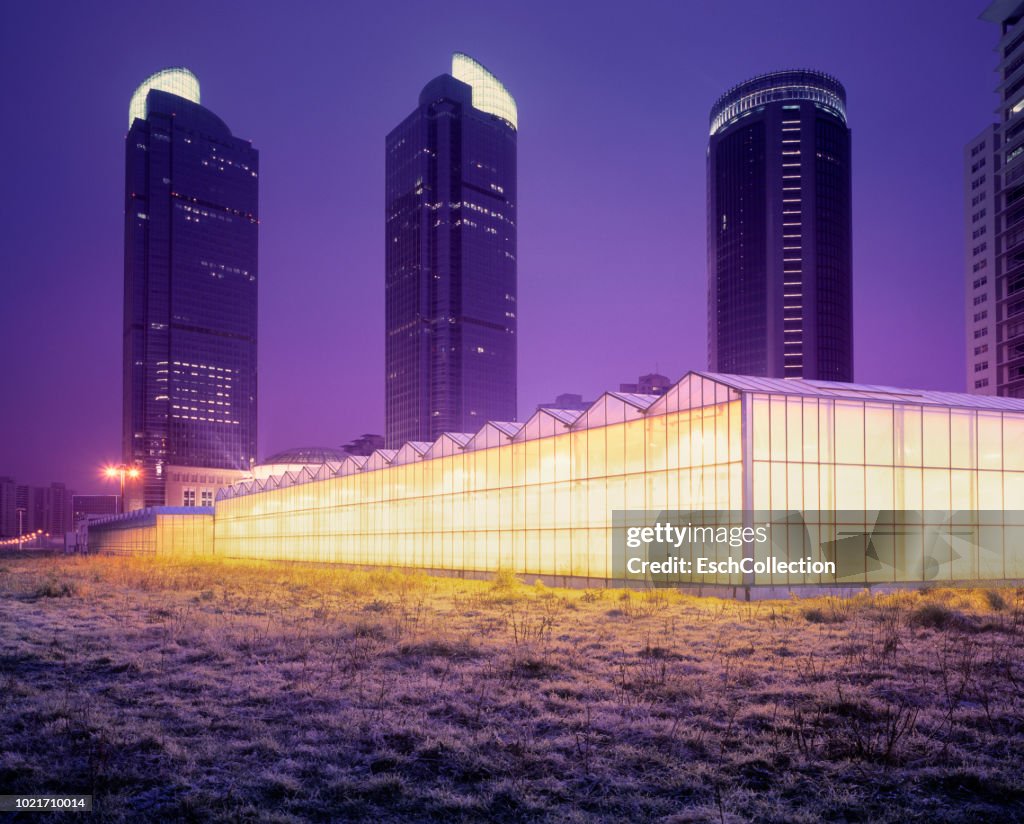 Illuminated greenhouses in front of modern city skyline