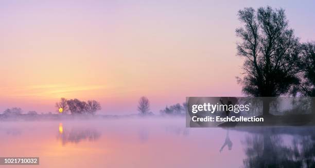 young woman practicing martial arts at river's edge at dawn - karateka photos et images de collection