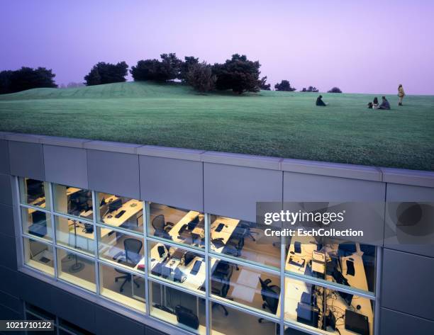 office complex with landscaped roof - maatschappelijke verantwoordelijkheid stockfoto's en -beelden