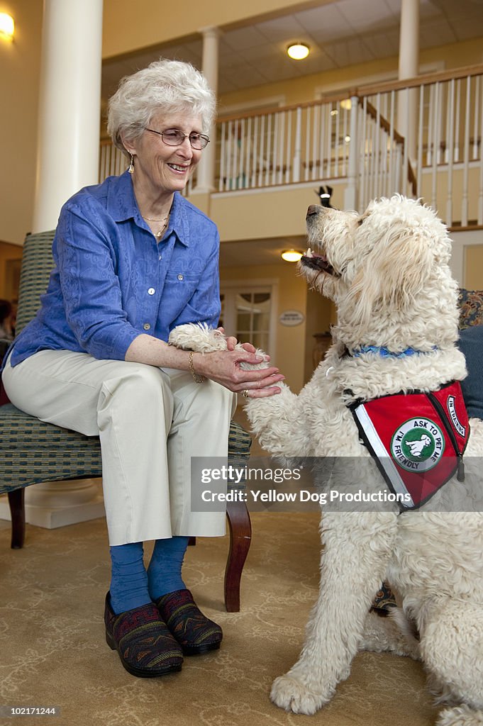Therapy Dog visiting an elderly woman