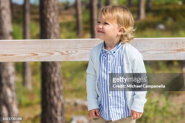 Prince Alexander of Sweden attends the inauguration of Prince Alexander's viewpoint at the Nynas Nature Reserve on August 23, 2018 in Gisesjon,...