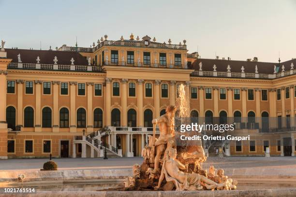 vienna, schönbrunn palace (austria) - schonbrunn palace stock pictures, royalty-free photos & images