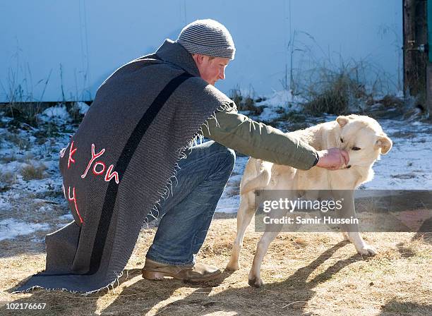 Prince Harry strokes a dog during a visit to the Semongkong Children's Centre on June 17, 2010 in Semongkong, Lesotho. The Princes are on a joint...