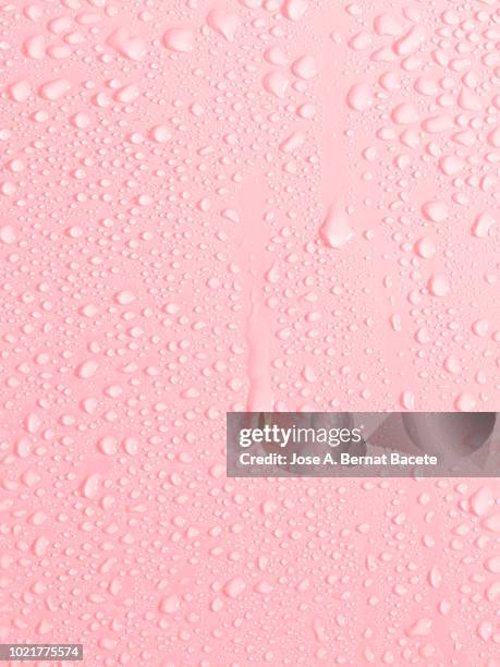full frame of the textures formed by the bubbles and drops of water, slipping on the crystal of a window of color pale pink. - dagg bildbanksfoton och bilder