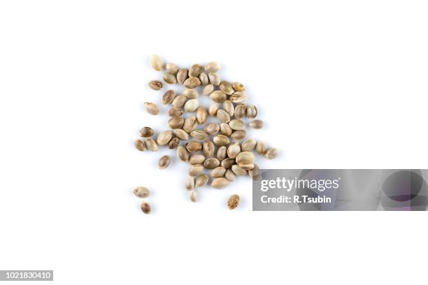 cannabis hemp seeds close up macro shot isolated - seed ストックフォトと画像