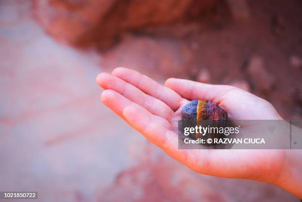 holding a pebble - smooth stone stock pictures, royalty-free photos & images