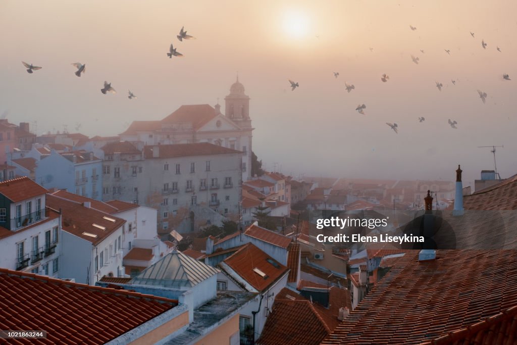 Lisbon viewpoint.