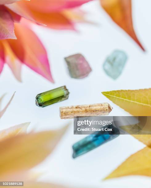 aquamarine, imperial topaz, green tourmaline, watermelon tourmaline, blue tourmaline with autumnal leaves.. - tourmaline gem stock pictures, royalty-free photos & images