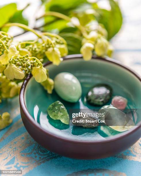collection of crystals in a bowl with mowhawkite, watermelon tourmaline, variscite, peridot, prehnite and zoisite - prehnite stockfoto's en -beelden