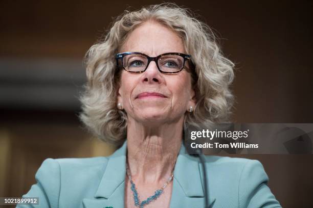 Dr. Diana Bianchi, director of the Eunice Kennedy Shriver National Institute of Child Health and Human Development , testifies during Senate Health,...