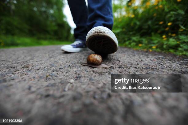 Snail Step 222 Snail Trail Stock Photos, High-Res Pictures, and Images - Getty Images