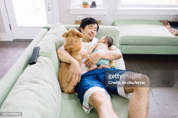 couch potatoes - baby body stock pictures, royalty-free photos & images