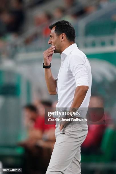 Head coach Nicolae Dica of FCSB during the - UEFA Europa League Play Off: First Leg match between Rapid v FCSB Bukarest at Allianz Arena on August...
