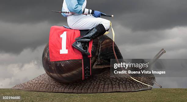 jockey on a snail - jockey clothing stock pictures, royalty-free photos & images